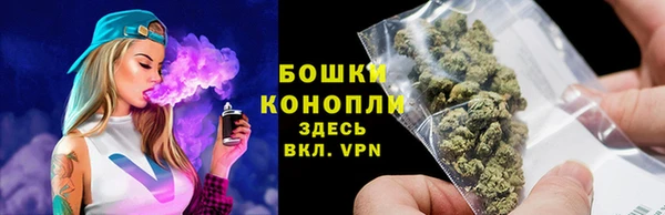МДПВ Осташков