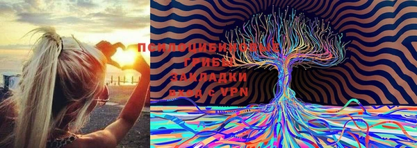 mdpv Осинники