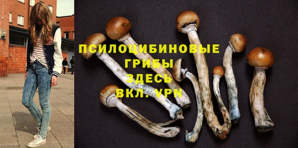 круглые Алзамай