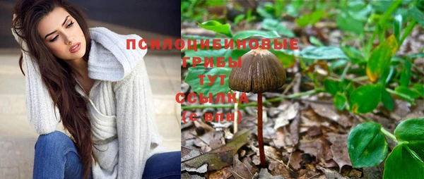 каннабис Алексеевка