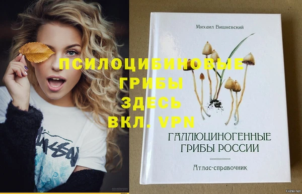 круглые Алзамай