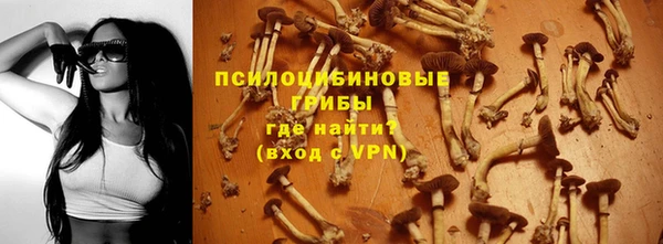 круглые Алзамай